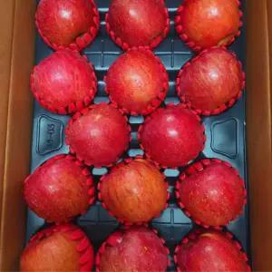 경북 부사 청송 얼음골 꿀사과 선물용 가정용 3키로 5키로 10키로