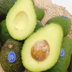 생과일 프리미엄 아보카도 대과 10입 (개당 230g 내외) 숲속의 버터 크리미식감 고소한맛