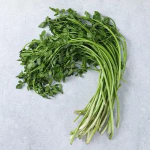 [롯데백화점]인정식탁 농협청과33번 돌미나리 4kg내외