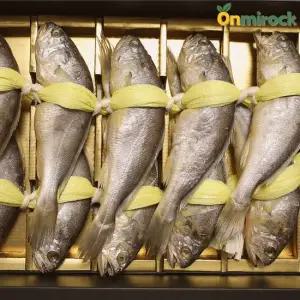 온미락 영광 법성포 참굴비 10미 20미 국내산 참조기 제수용 가정용 선물용