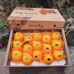 산지직송 고당도 당도선별 프리미엄 한라봉 선물세트 3kg 5kg 명절선물세트 설 선물세트 추석