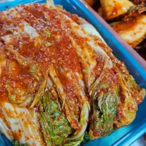 이리온김치 이리온 전라도 배추김치 포기김치 가정식 배추김치 1kg(폴리백)