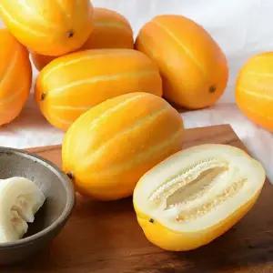 꿀당도 국내산 꿀 참외 2kg (혼합과)