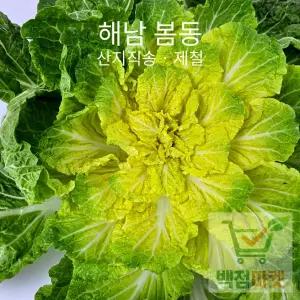 백점마켓 엄선 해남 봄동 배추 산지 제철 신선 봄동 겉절이 봄나물_1kg 2kg 3k 4kg, 1박스