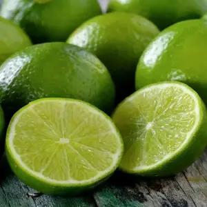 싱싱햇 라임 생과 생라임 1kg