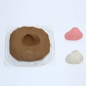 찰흙 조개 화석 만들기 알지네이트 1인용