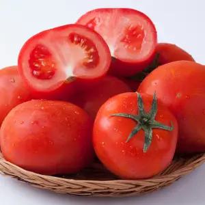 완숙 찰토마토 3kg