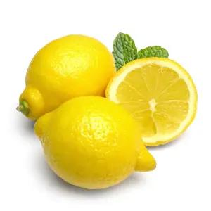 최상급 팬시레몬 대과 10개입(140g)