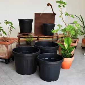 이탈리아 낮은 그레이트 포트화분 대형 고무 D30L가드닝 가정용 야외용 나무 식물 인테리어 큰화분 정원용