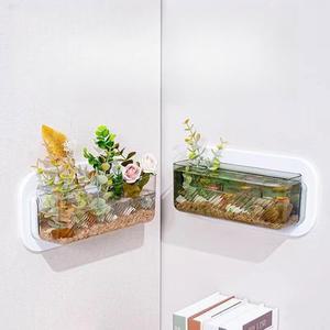 벽걸이 어항 투명 구피 식물꽂이 반수생 열대어 물고기키우기 20x10x10 벽장식 먹이