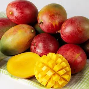 프리미엄 애플망고 4과 (개당 450g 내외)