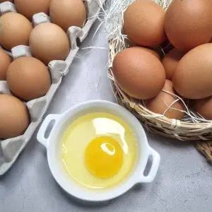 [NS홈쇼핑](e) HACCP 인증 신선계란 왕란 30구+ 30구 (2판)[35764142]