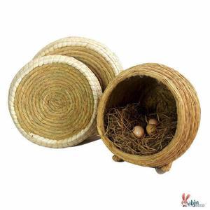 야외 마리 메추리 부화장 조립식 부화 하웃스 산란장 병아리 50마리의 암탉 대형 가축