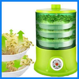 지능형 콩나물 성장 기계, 자동 대용량 온도 조절기, 녹색 씨앗