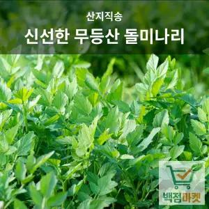 백점마켓 엄선 무등산 돌미나리 산지 신선한 제철 봄 미나리 향좋은 미나리_1kg,2kg