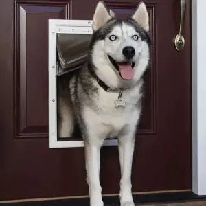 대형견 펫도어 강아지문 검은색 슬라이딩문 화이트 현관문