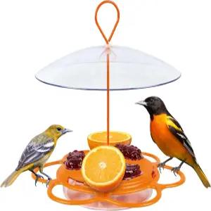 개미 해자 및 날씨 배플 금속 플라스틱 야생조류 공급기 12온스 꿀 용량 오렌지가 있는 네이처스 웨이 멀티