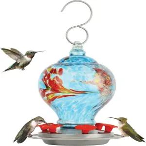 네이처스 웨이 버드 프로덕츠 써니 데이 AGF3 핸드 블로우 장인 중력 벌새 모이통 28온스