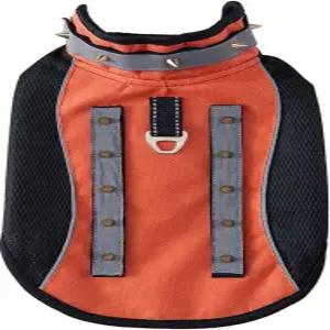 손잡이가 달린 작은 개 조끼 - 물림 방지 및 포식자 보호 전술 하네스 D-링 통기성 안감 오렌지 S로 조절