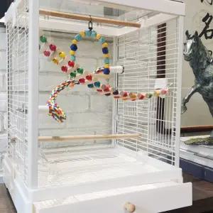 앵무새장 케이지 화이트 아크릴 사육 투명 앵무새 연철 산책