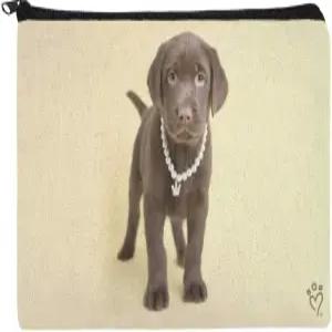 초콜릿 랩 래브라도 강아지 왕관 목걸이 연필 펜 정리 지퍼 파우치 케이스