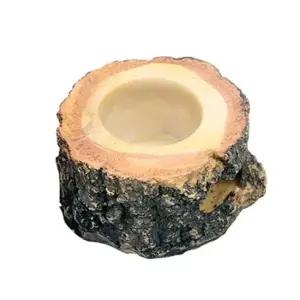 아마존 먹이접시 1구 곤충 젤리용 곤충먹이접시 사슴벌레먹이그릇 사슴벌레키우기