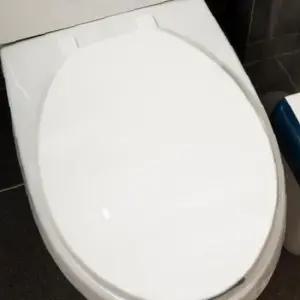 하드 변기커버 대형 DY-458 무소음 변기