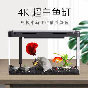 작은어항 반려 물고기 키우기 수족관 반수생 가정용 아크릴