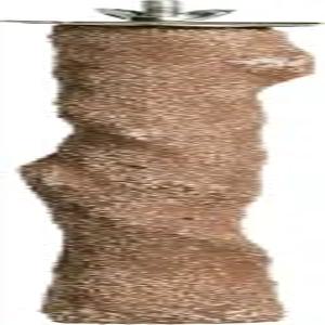 프리뷰 펫 프로덕츠 퍼치 비치 지점 대형 1012 어소시티드