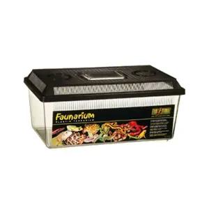 파충류 채집 케이스 중형 1P 곤충 도마뱀 사육통 투명 곤충채집통