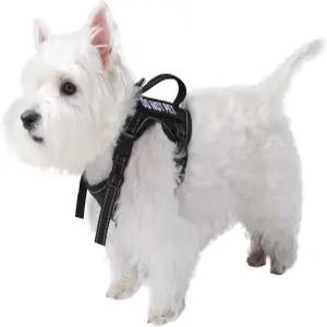 소형견을 위한 전술 개 하네스 - 야외 훈련을 수직 손잡이 XS 하네스가 있는 반사형 강아지 애완동물 조끼