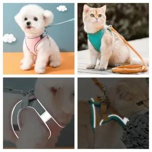 펫셔니 댕냥이 야광 가슴줄 야간 산책 몸통 가죽 리드줄 강아지 고양이 겸용 [포미런]