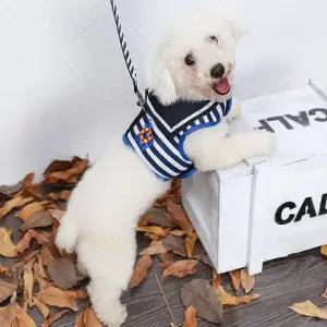 요기네 강아지 하네스 세트 목줄 리드줄 가슴줄 외출용품 산책줄 [포미런]