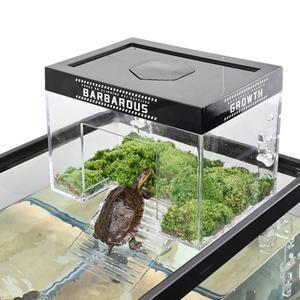 은신처 거북이 어항 육지 소형 터틀텁 터틀홈 사육장 쉼터