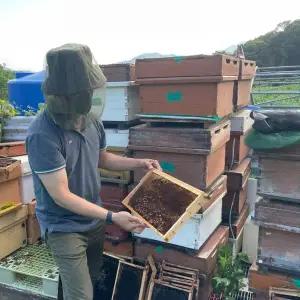 씌우는 얼굴모기장 아미그린