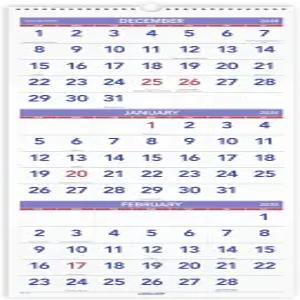 AT-A-GLANCE 2025 월 캘린더 12인치 x 27인치 대형 세로 3개월 기준(PM112825)
