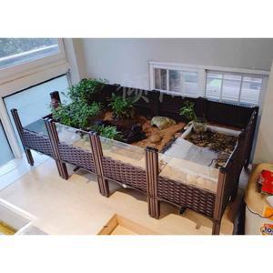 육지거북이 사육장 쉼터 집 4연결 1열 160x40 탱크 판4개 소동물 부화 파충류