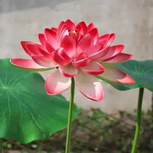 대형 연꽃 조화 식물 줄기 부처님오신날 조경 무대 소품 모형