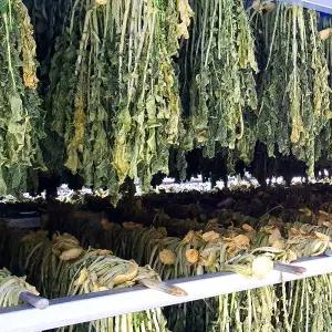 국내산 자연건조 햇 무청시래기 2kg