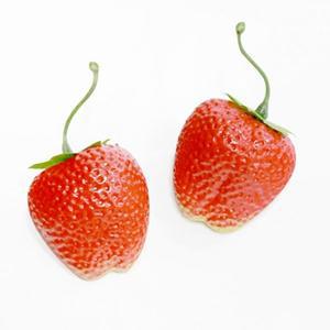 과일모형 딸기 10입
