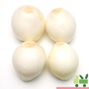 국산 깐양파 (1등) 10kg