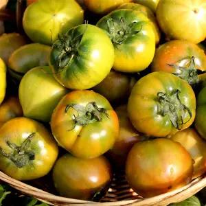 대저토마토 2.5kg 5kg 완숙 찰토마토