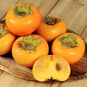 단감 10kg 햇감 진영 창원 고당도 꿀단감