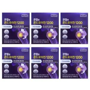 주영엔에스 관절엔 콘드로이친 1200 지성 콘드로이친 60정 6박스