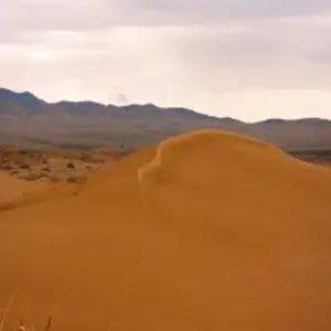 몽골 울란바토르/아르부르드사막 4박5일 [HIT 상품] #현대식게르2박(2인1실) #노쇼핑노옵션 #승마체험 #별보기체험