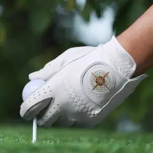 3장 1세트 히메지몬자 프리미엄 이중덧댐 올양피 골프장갑 C26309 C36301