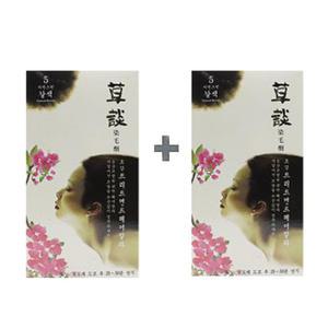 일진 초담 트리트먼트 헤어컬러/새치커버 5호 자연갈색 2개