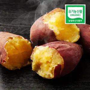 [호천참살이]유기농 베니하루카 달수고구마 중상(70g~100g) 3kg 전남 무안 해풍 꿀 고구마