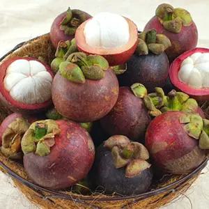 열대과일의 여왕 생망고스틴 4-6입 1망 500g