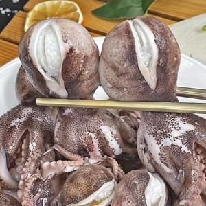 냉동 알쭈꾸미 특대 2kg